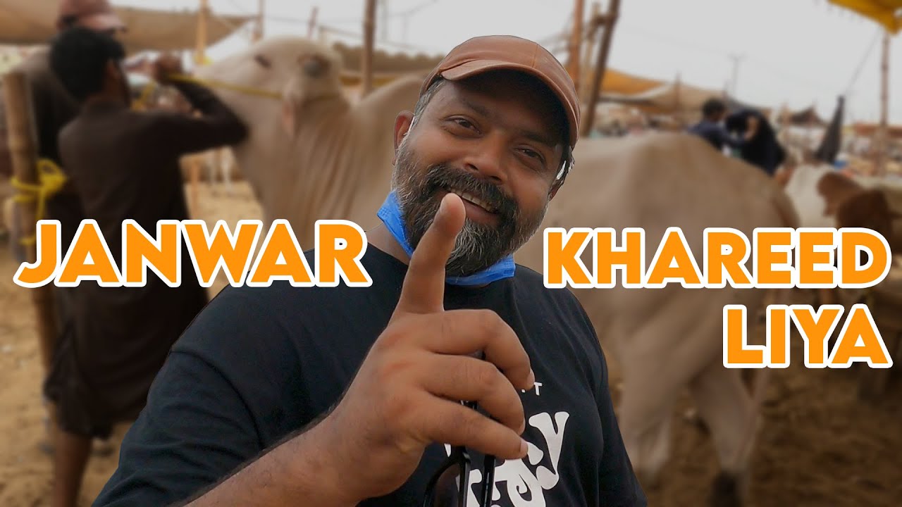 Janwar Khareed Liya | Sohrab Goth Mandi | Vlog | Who Is Mubeen