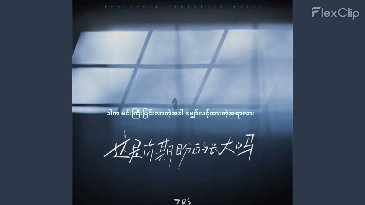 ZQS - Zhe Shi Ni Qi Pan De Chang Da Ma (这是你期盼的长大吗) MM Sub