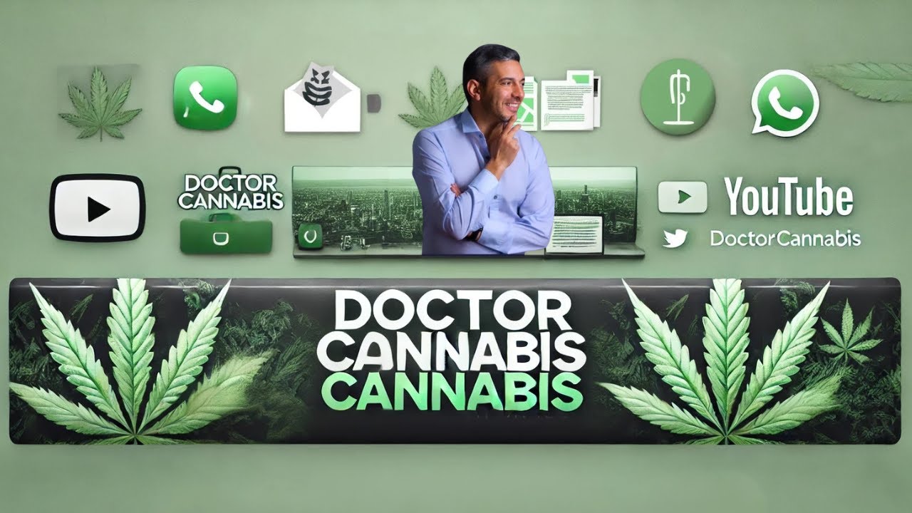 🌱 DOCTOR CANNABIS EST&Aacute; DE VUELTA 🌱 Reprocann ONG Salud Amparo Salud Pendiente de Evaluacion Cannabis
