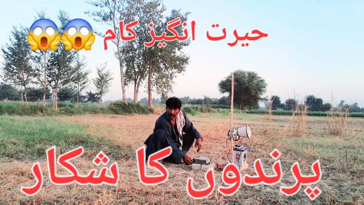 حیرت انگیز کام 😱😱 پرندوں کا شکار 💀💯