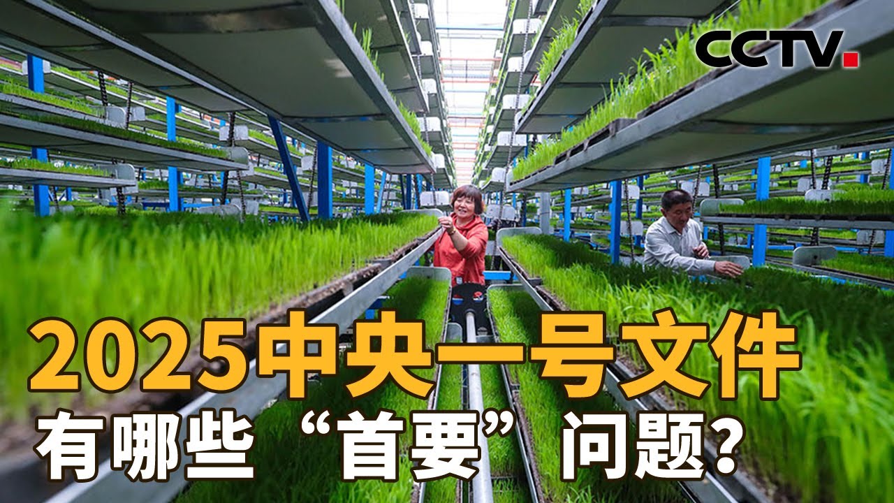 2025中央一号文件，有哪些“首要”问题？| CCTV「新闻1+1」20250224