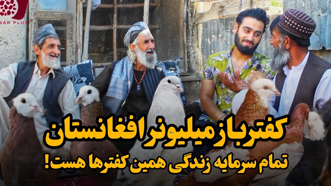 مهمانی به خانه یکی از نامدارترین کفتربازان شهر کابل که قیمتی ترین کفترهای افغانستان را پیش خود دارد