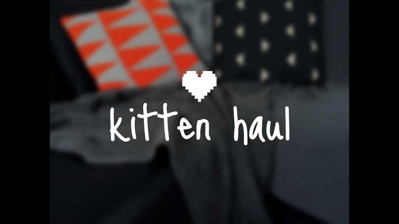 Kitten Haul | Preparing for a kitten