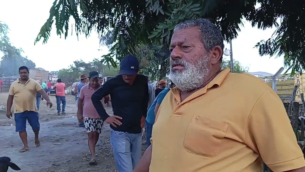 NA FEIRA DO BODE E CARNEIROS DE LIMOEIRO PERNAMBUCO 22 DE JANEIRO 2026