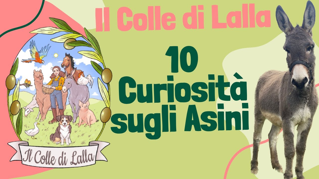10 CURIOSITA' sugli ASINI