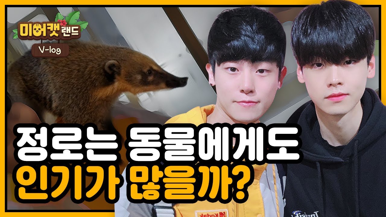 [ENG]정로는 동물에게도 인기가 많을까?(Is Jeong-ro popular with animals?)