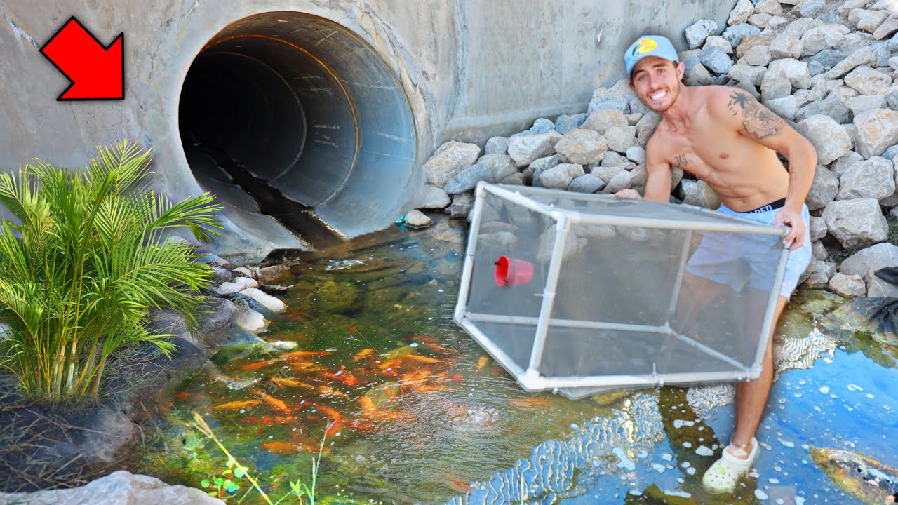 HIDDEN TUNNEL TRAP CATCHES FISH!!! (24hr Challenge)