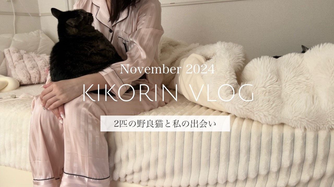 【猫Vlog】我和两只流浪猫的邂逅🐈🐈&zwj;⬛