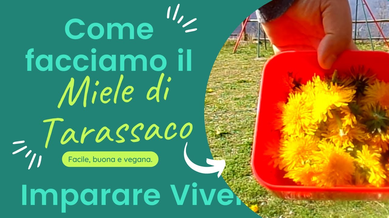 Come facciamo il miele di Tarassaco
