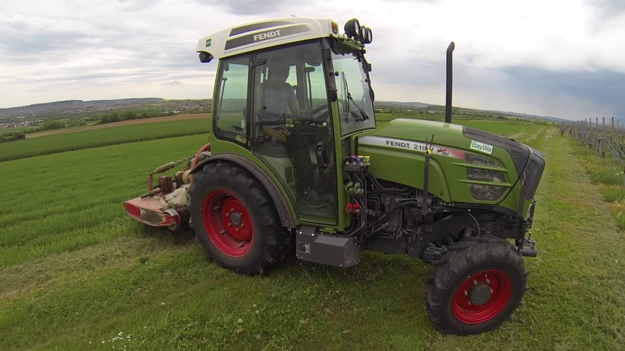 Mulchen mit Fendt Vario 210 im Weinberg