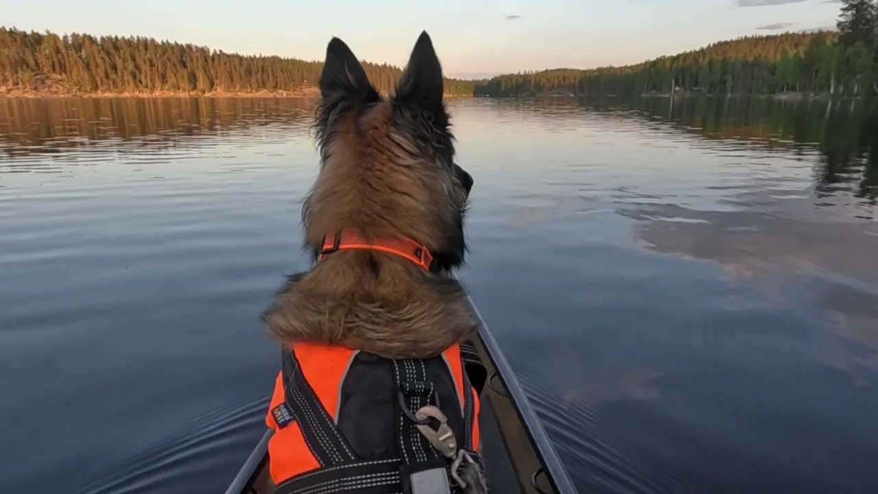 Paddling Northstar Trillium with Pinko and Nero, June 7th 2024