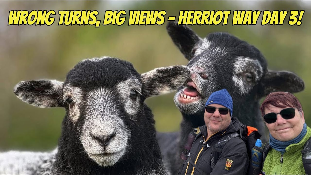 Explore Herriot Way's Best Day 3 Trails Now