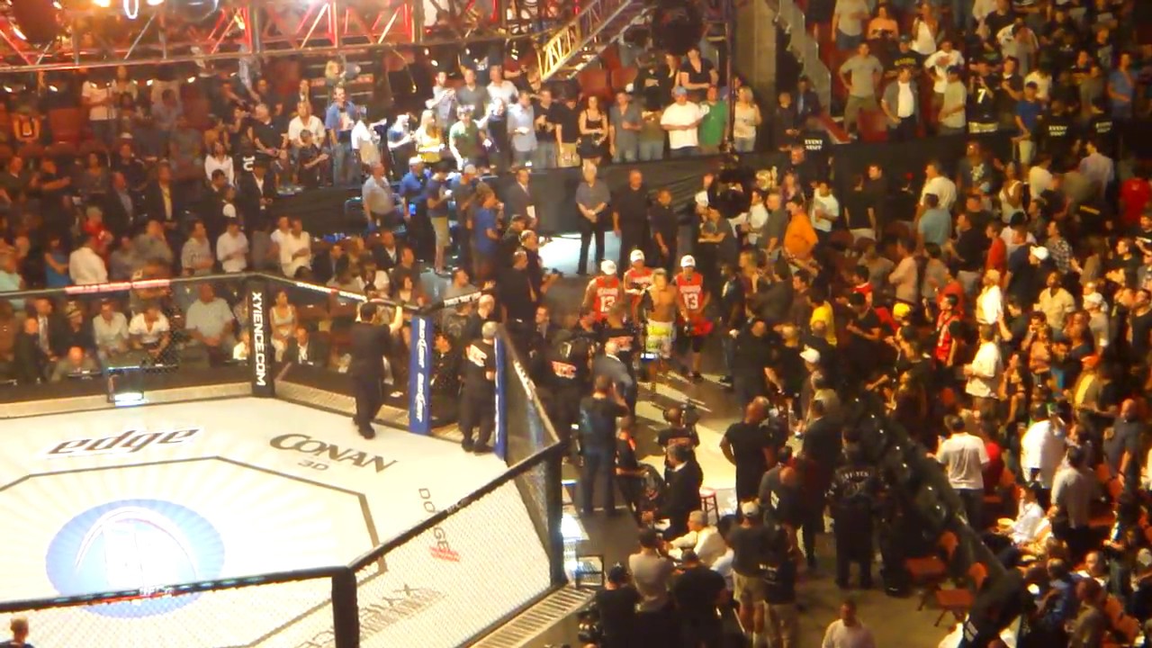 Yoshihiro Akiyama Entrance