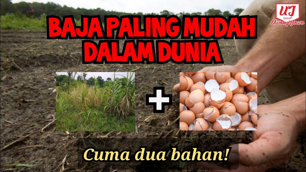 [ TUTORIAL ] Saya ajar cara buat BAJA PALING MUDAH DALAM DUNIA