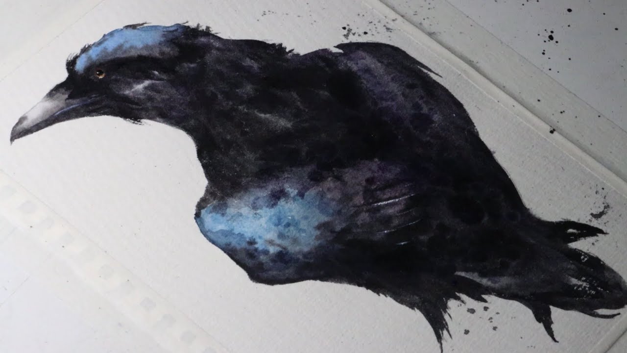 How to paint Crow in watercolor painting