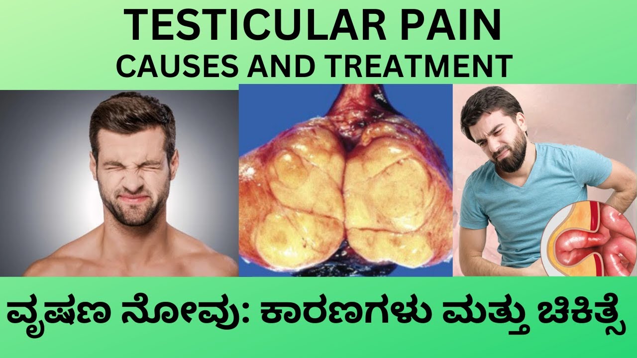 TESTICULAR PAIN IN KANNADA.CAUSES SYMPTOMS  HOME REMEDIES AND TREATMENT IN KANNADA.