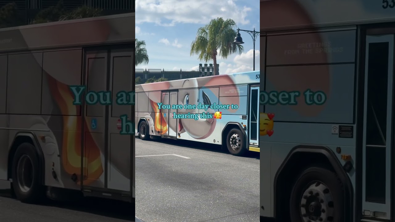 Welcome aboard Disney transportation system 