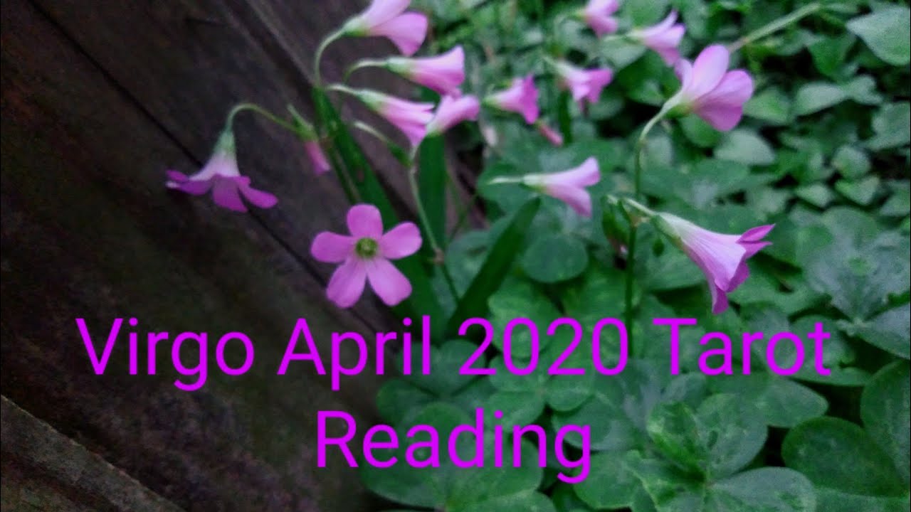 ⭐️VIRGO. CLAIM IT!✨ APRIL 2020 INTUITIVE TAROT READING