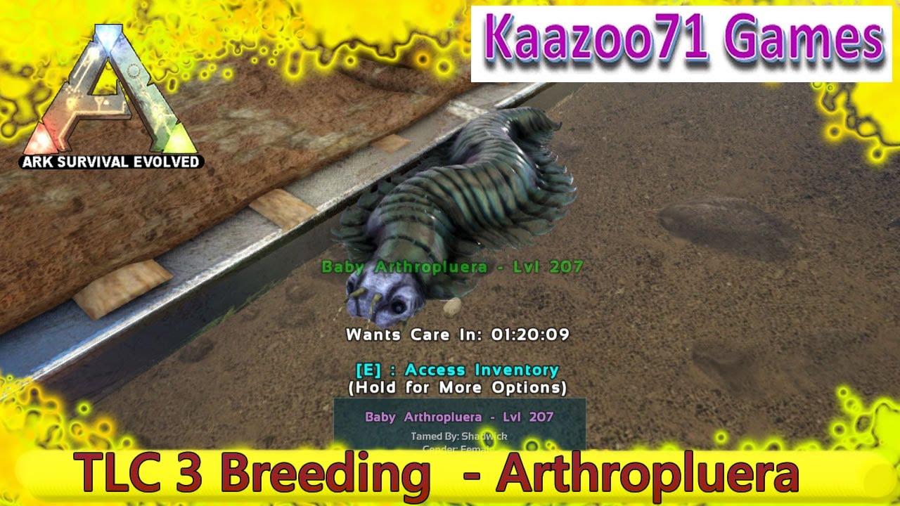 Arthropluera Breeding TLC 3 - Ark Survival Evolved