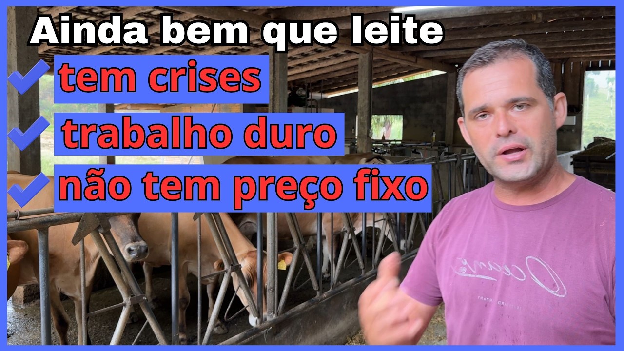 O lado bom que ninguém vê na crise do setor leiteiro.