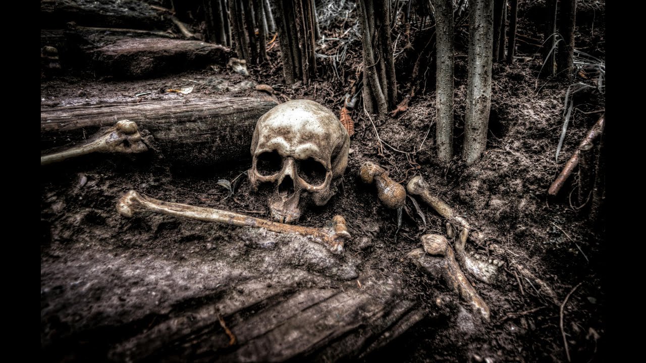 सारंडा के जंगलों की आख़िरी आवाज़ #horror #horrorstation #horrorstories