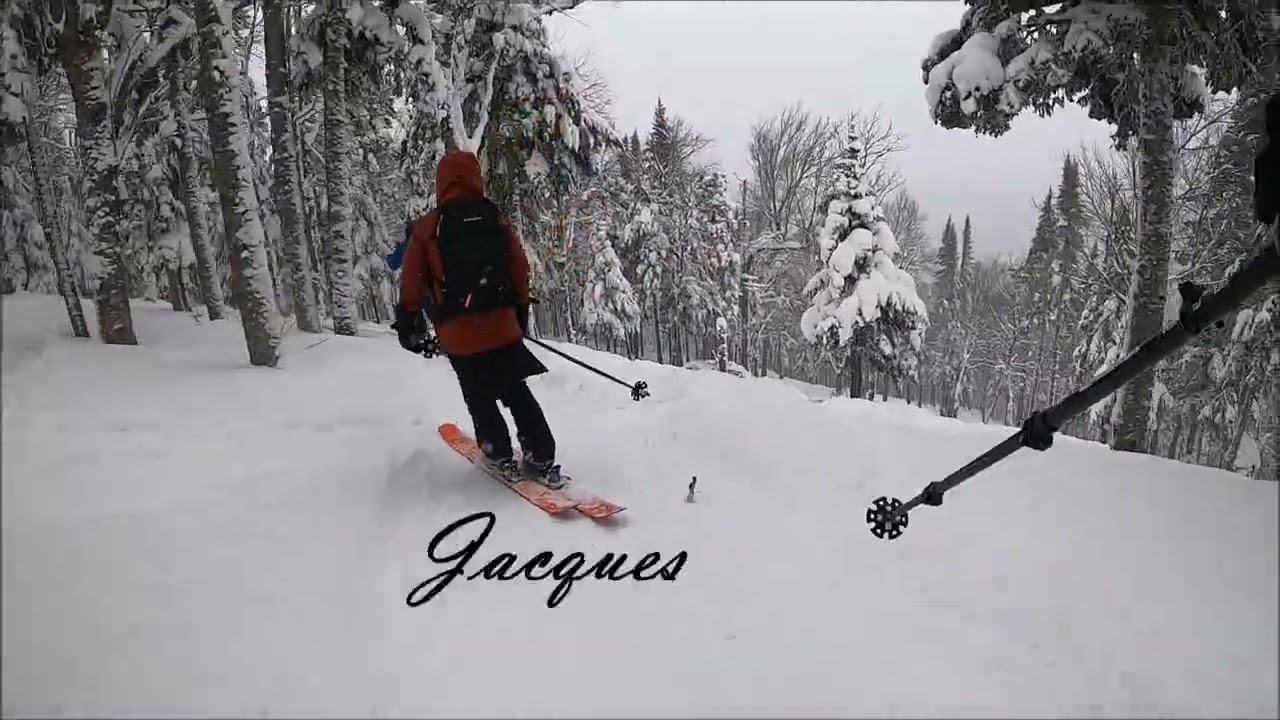 2026 01 23 Massif du Sud Denis Jacques