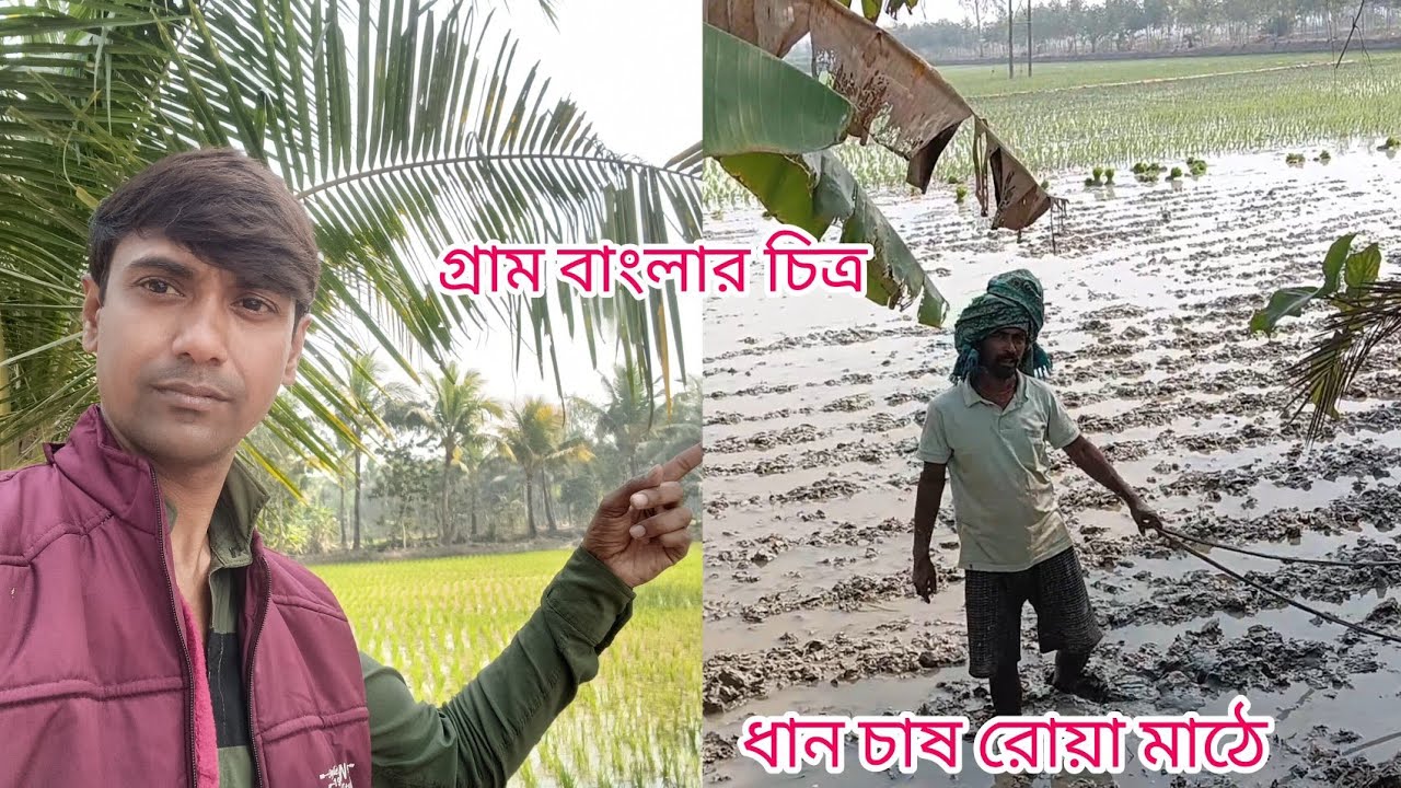 গ্রাম বাংলার রূপ। মাঠে চাষ করা 