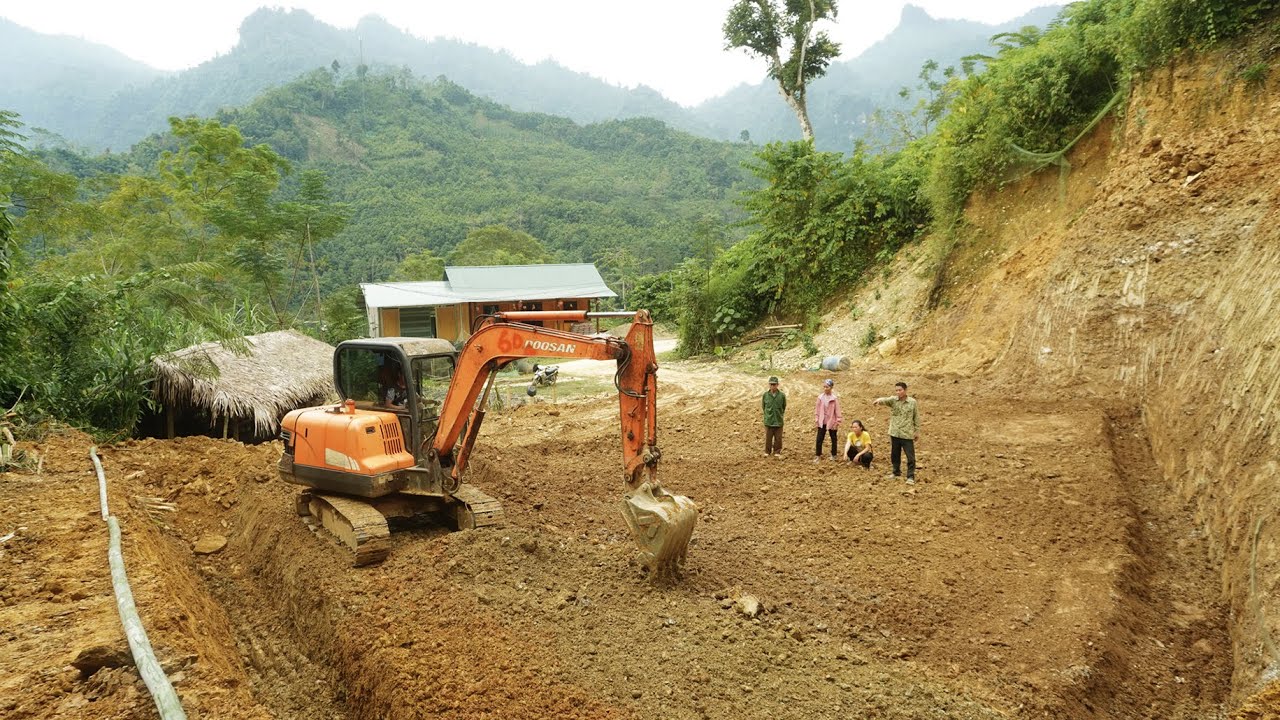 Helps expand the livestock area, bring light into the house, life in the forest DK