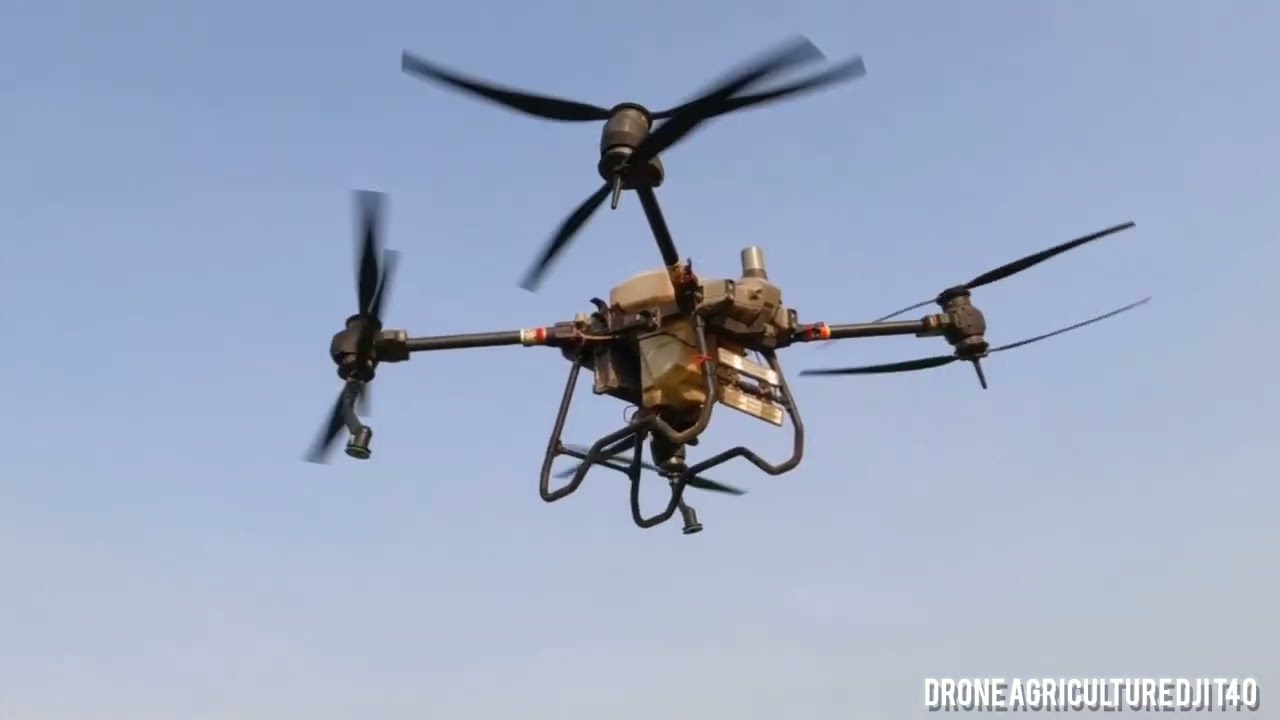 Spraying on crops By agricultural drone DJI T40