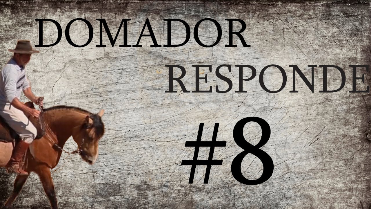 DOMADOR RESPONDE #8 - Doma de Bocal