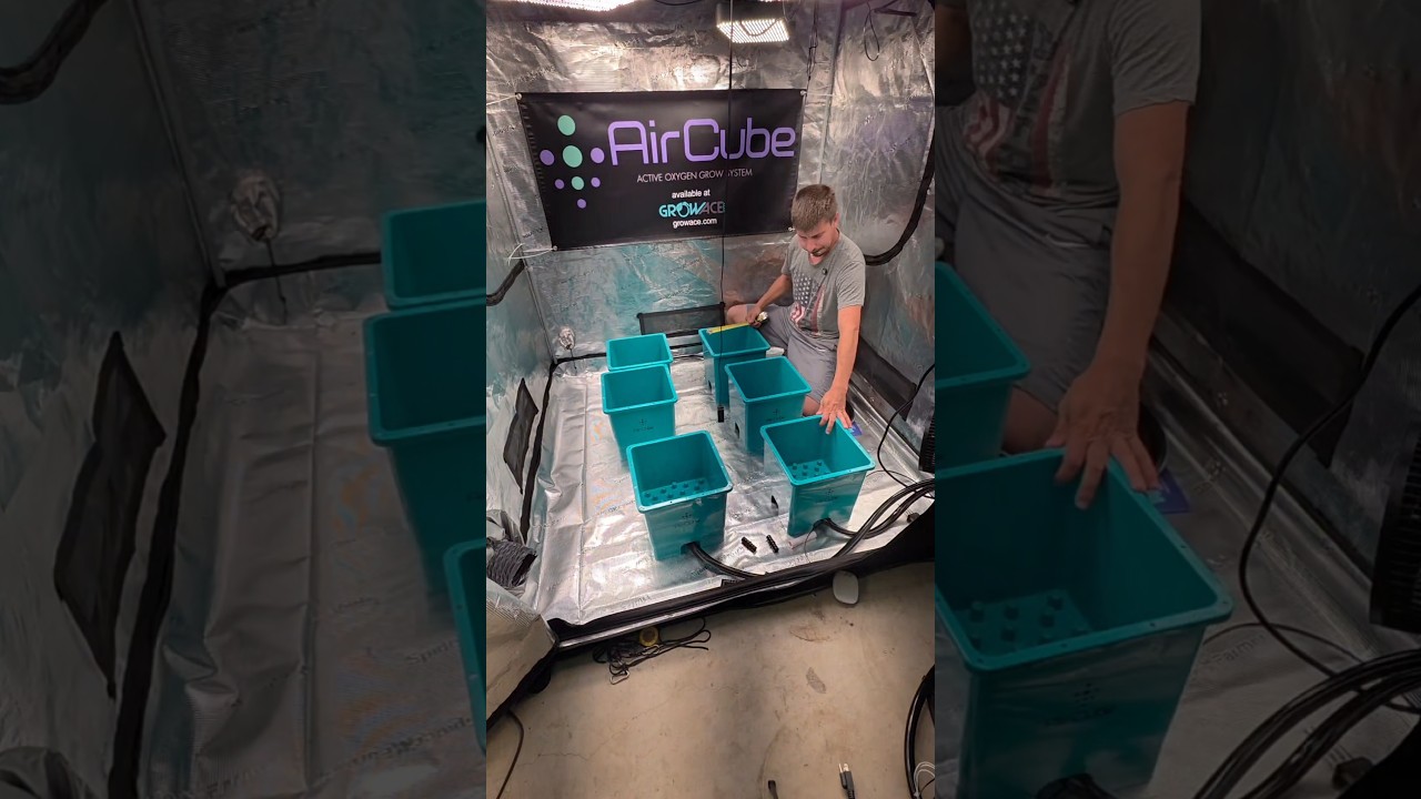 настройка системы AirCube от GrowAce