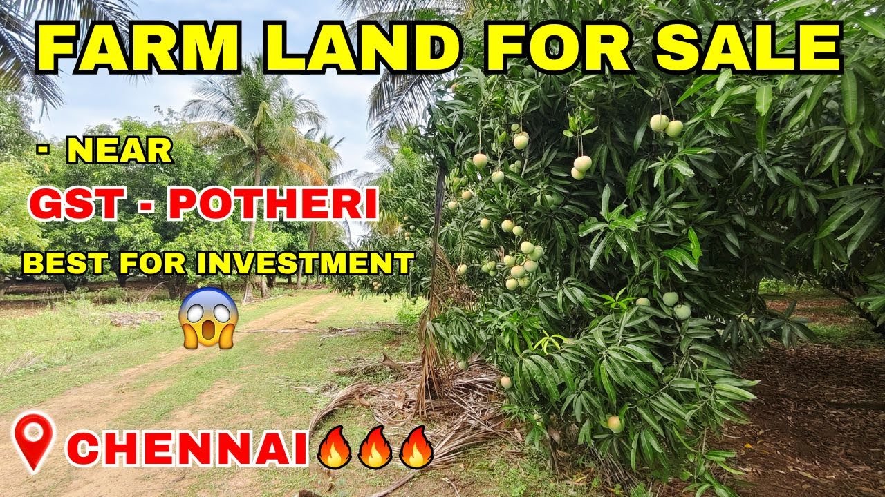 🤑 Lowest-Priced  farmland is for SALE in Potheri, Chennai🌳🌴 | Chennai Properties