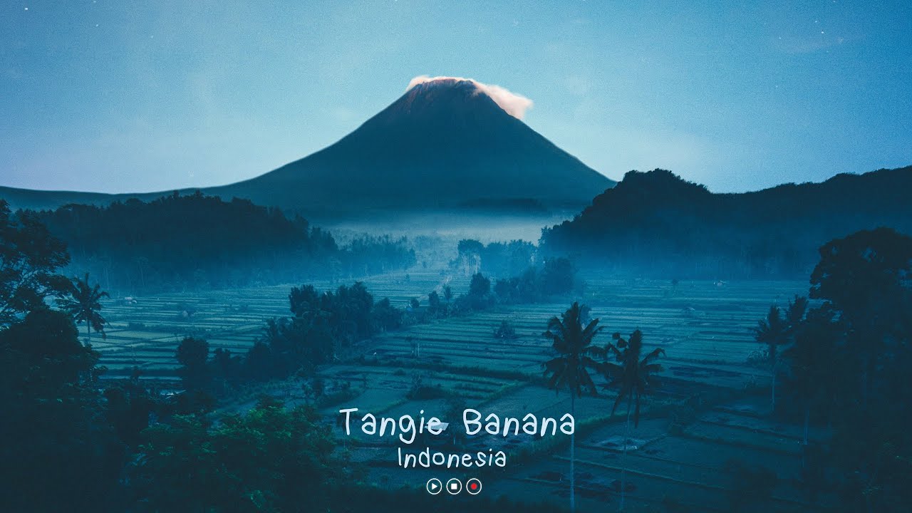Tangie Banana &ndash; Indonesia