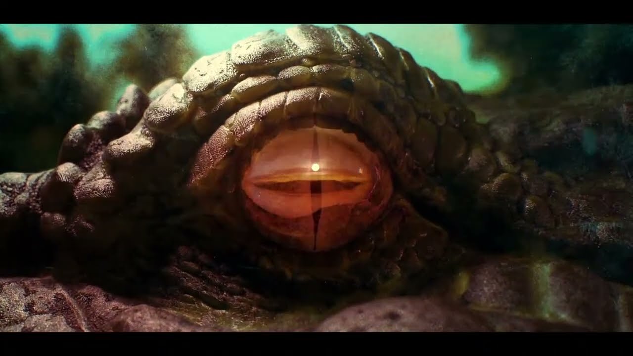 FAR CRY 6 · NANDOGOMESFGJ