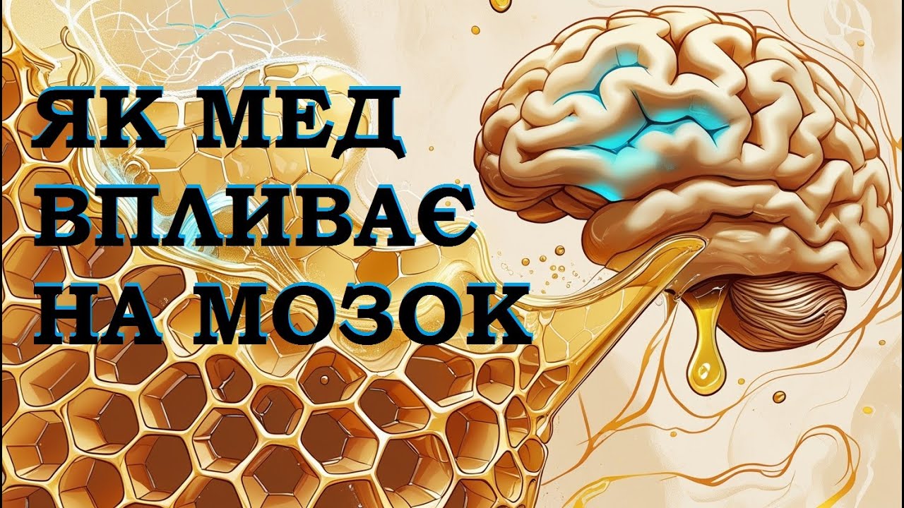 Как МЁД влияет на мозг. Научные исследования