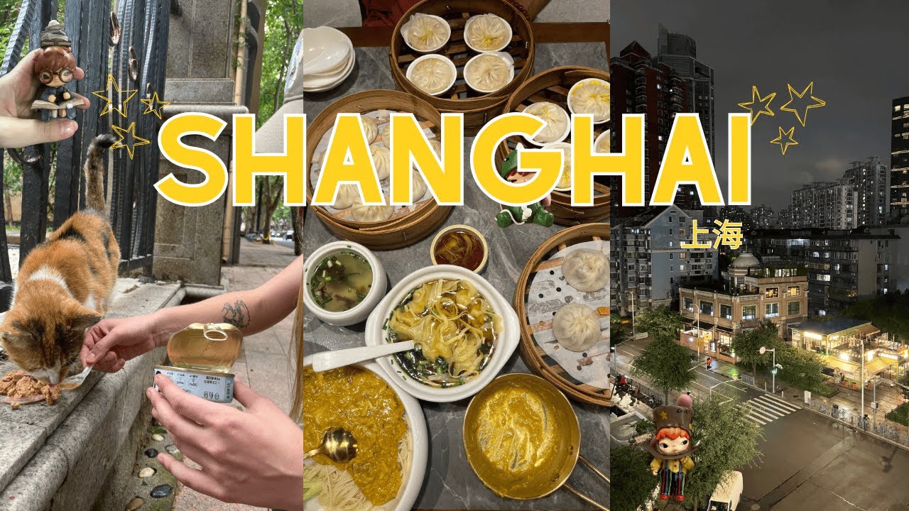 ⭐ 3 days in Shanghai: surviving a typhoon, michelin star dumplings and cat friends ⭐