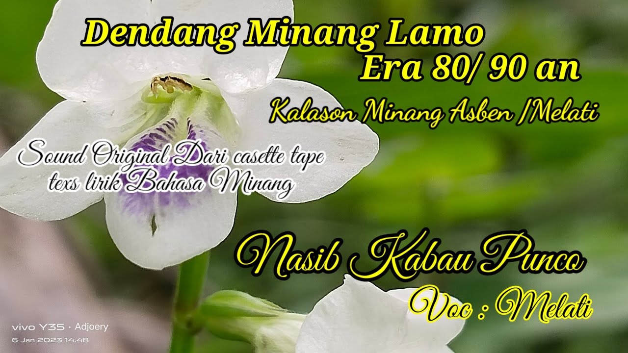 Dendang Minang Lamo,kalason Asben melati, Nasib kabau Punco,Voc Melati