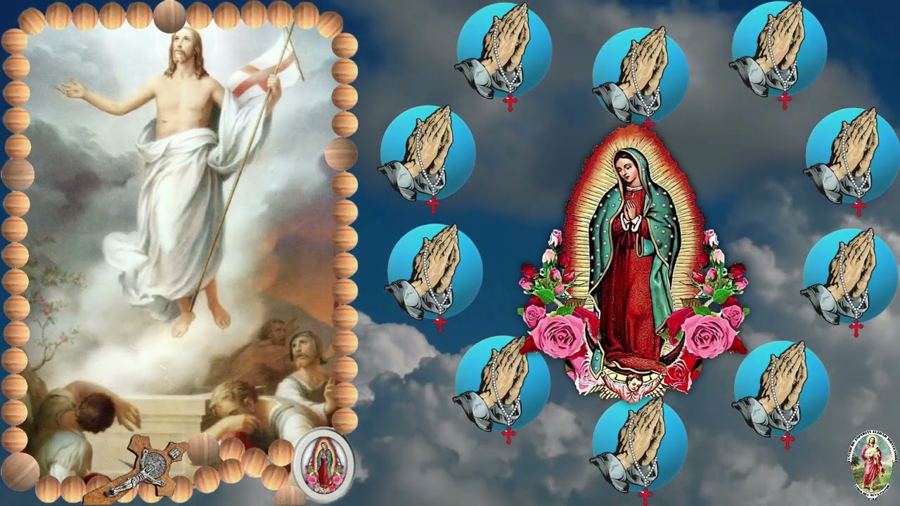 SANTO ROSARIO MISTERIO GLORIOSO † Lectura del santo Evangelio según san Marcos (7, 14-23) 11-02-2026