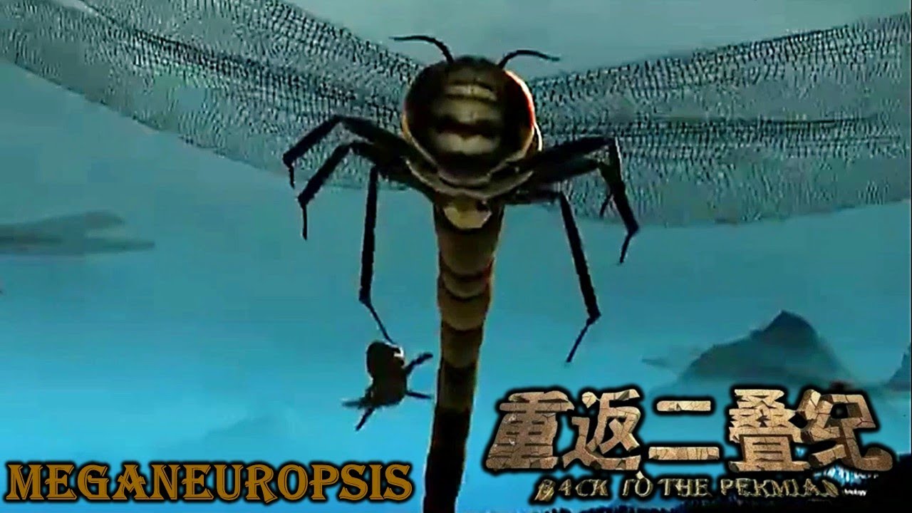 back to the Permian meganeuropsis screen time