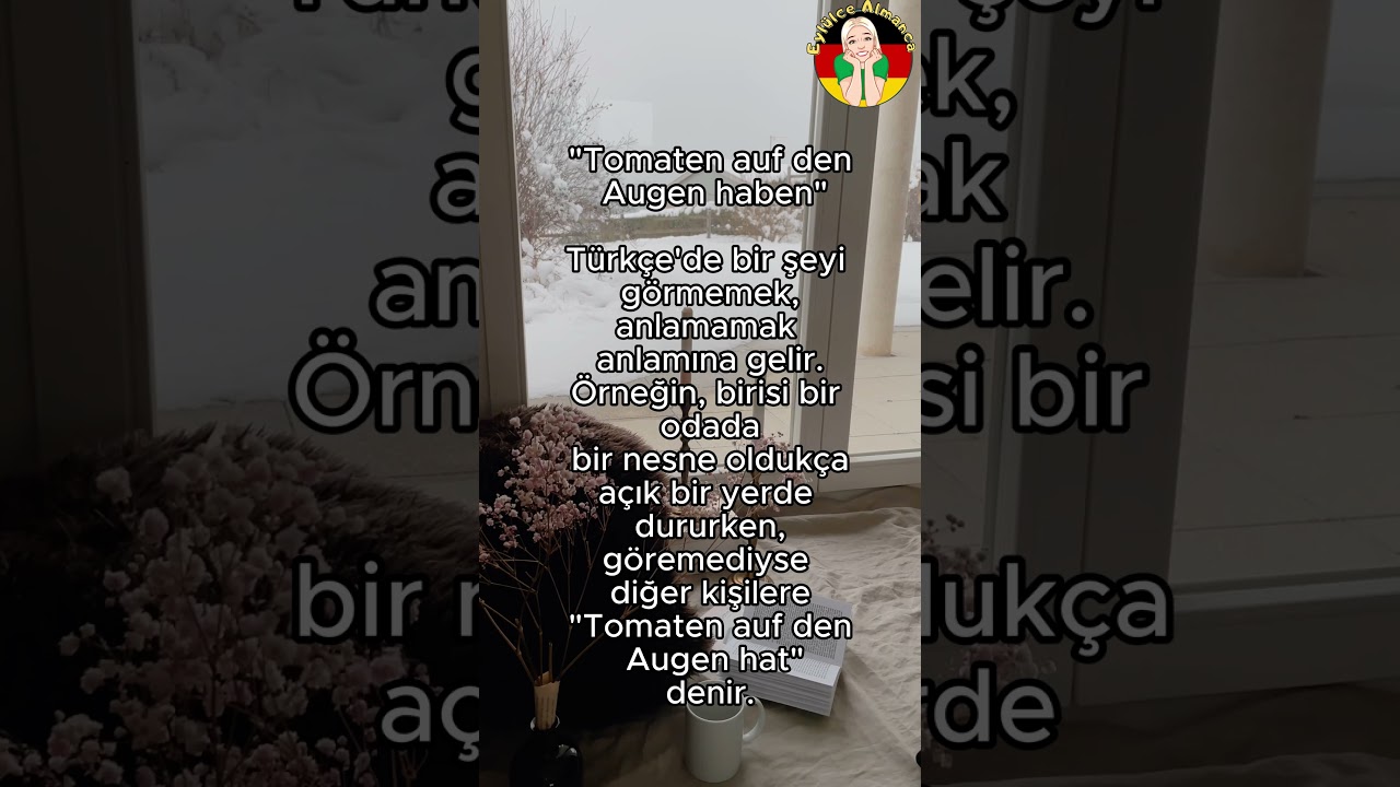 ALMANCA DEYİM part 9 / Eyl&uuml;lce Almanca