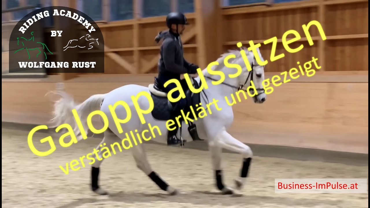 F5 Pferde richtig galoppieren lernen. Als Reiter Pferde im Galopp treiben & sitzen lernen. Zeitlupe