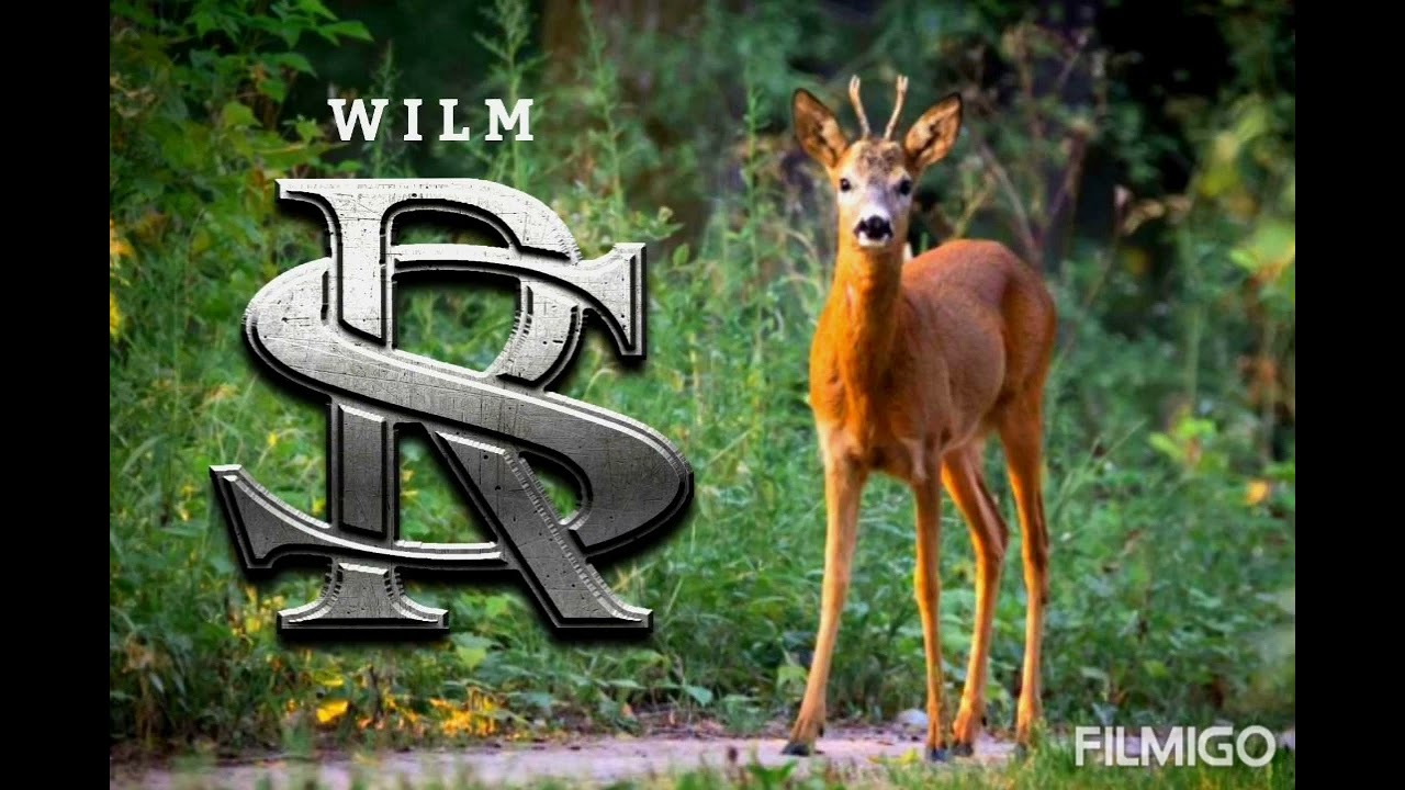 Wilm - R.S.