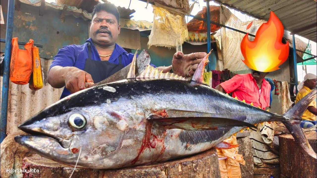 98 kg MONSTER YELLOW FIN TUNA🔥| KASIMEDU SELVAM FISH CUTTING | KASIMEDU | CKFC