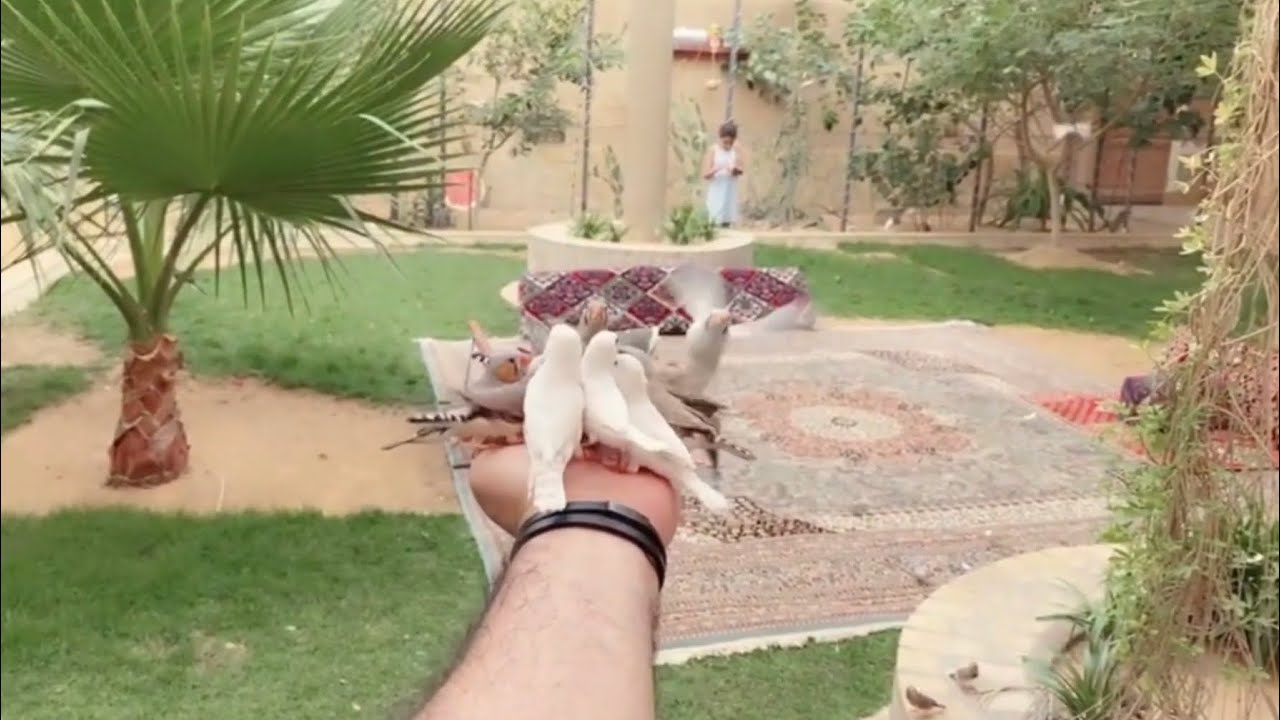 محمية الطيور بـ المذنب