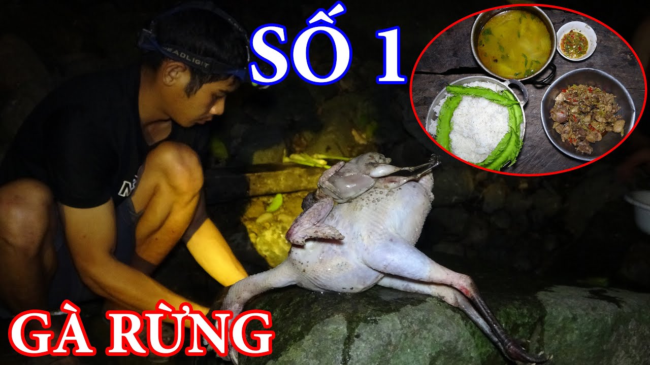 NGÀY HÁI THUỐC TỐI KIẾM ĂN TRONG RỪNG - Xáo Tam Phân - PHẦN 7