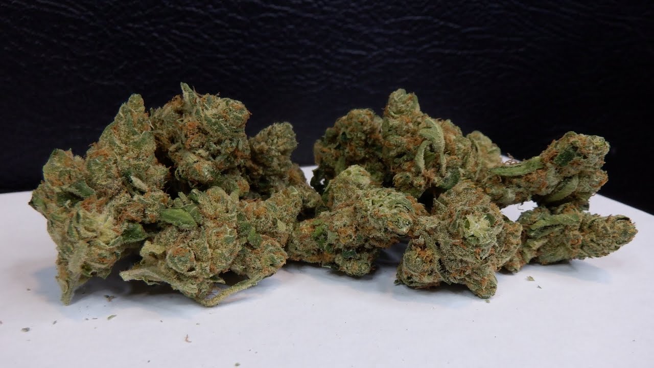 Strain Review Fast Lane Sativa (Blue Iguana) By Hiway