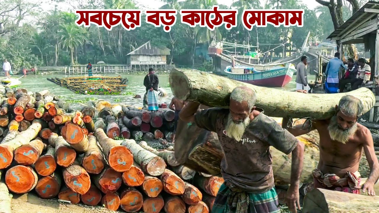 স্বরূপকাঠিতে বাংলাদেশের সবচেয়ে বড় কাঠের মোকাম || Panorama Documentary