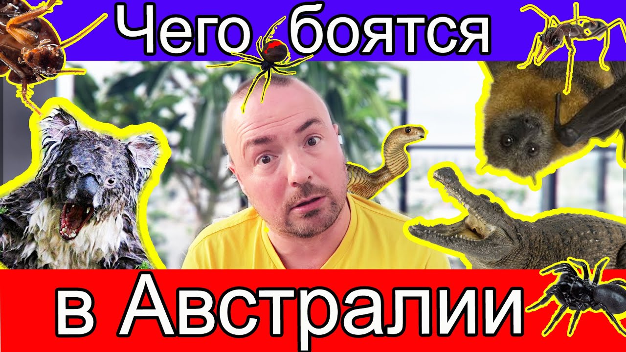 Чего боятся в Австралии