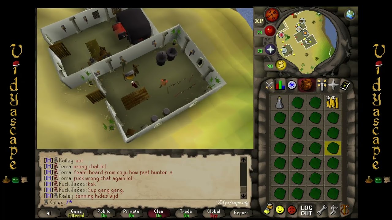 Tanning & Crafting Dragonhides   90 Crafting [VidyaScape]