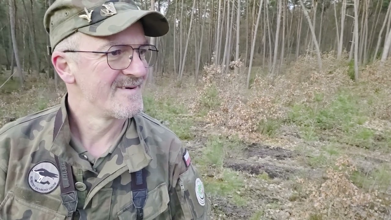 Dziś na patrolu było mega parka bielików i świerza tyka jelenia dziesiątak